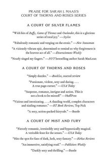 A court of silver flames. Book 5. Image №3