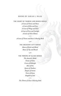 A court of silver flames. Book 5. Image №4
