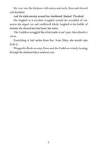 A court of silver flames. Book 5. Image №7