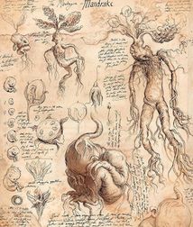 Harry Potter and the chamber of secrets. Illustrated edition. Book 2. Image №7