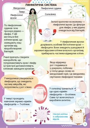 Веселі забавки для дошкільнят. Тіло людини — фото 4