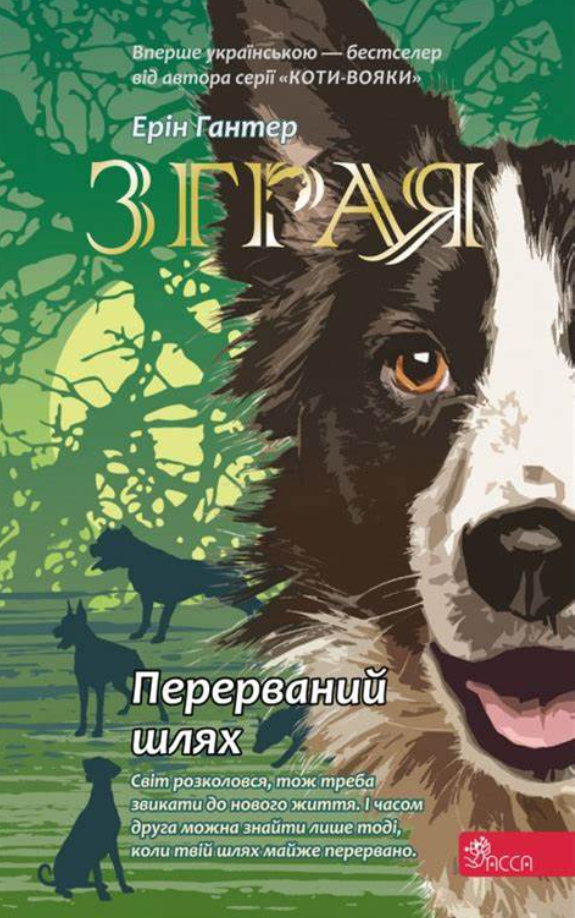 Обкладинка Зграя. Перерваний шлях. Книга 4