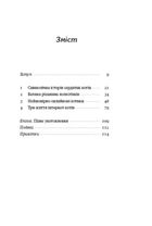 Універсальна теорія котиків в інтернеті. Як культура впливає на технології і навпаки. Image №3