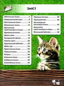 Світ навколо нас. Фотоенциклопедія. Кішки. Зображення №3
