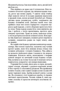 Нічний Сталкер. Image №4