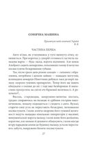 Сонячна машина. Зображення №2