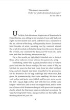 Burmese Days. Зображення №2