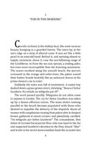 Cabbages and Kings. Image №8