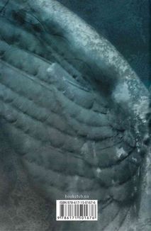 Янголи і демони. Зображення №3