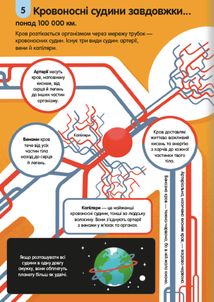 100 фактів про людське тіло. Зображення №9