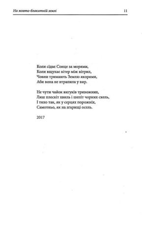 На жовто-блакитній землі — Євген Рибчинський, фото 13