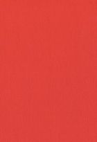 Динамо Харкiв. Image №2