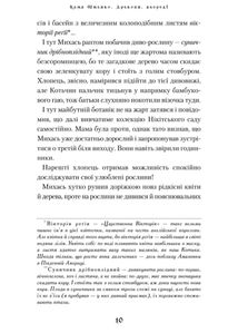 Дракони, вперед!. Зображення №8