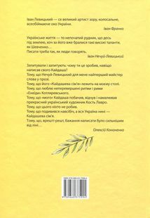 Сага про Кайдашів. Image №2