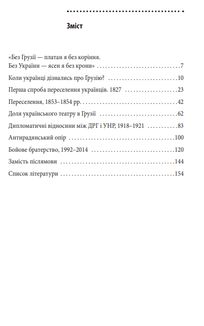Україна і Грузія — чому разом? . Image №21