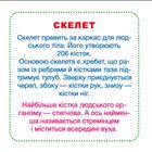Розумні картки. Моє тіло. 30 карток . Image №3
