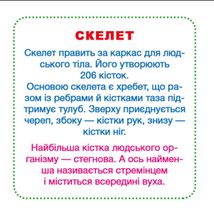 Розумні картки. Моє тіло. 30 карток . Image №3