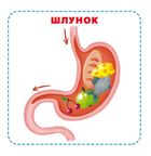 Розумні картки. Моє тіло. 30 карток . Image №6