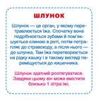 Розумні картки. Моє тіло. 30 карток . Image №7