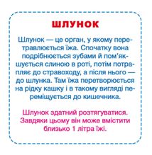 Розумні картки. Моє тіло. 30 карток . Image №7