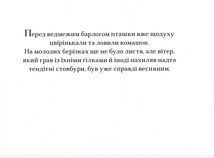 Ведмеже диво. Зображення №3