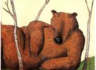 Ведмеже диво. Зображення №7