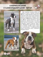 Світ навколо нас. Собаки. Image №4