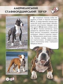 Світ навколо нас. Собаки. Image №4