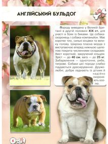 Світ навколо нас. Собаки. Image №6
