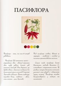 Книга-розмальовка. Квіти. Зображення №7