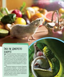 Дитяча ілюстрована енциклопедія. Тварини. Image №2