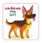 Розумні картки. Тварини. 30 карток. Зображення №5