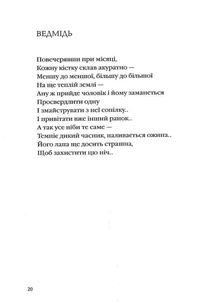 Зима в Тисмениці. Зображення №8
