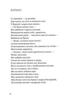 Зима в Тисмениці. Зображення №10