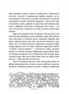 Прес, чорнило, три гармати. Пригоди славного мандрівного друкаря Івана Федоровича. Image №5