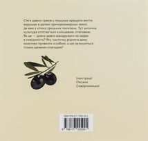 Кісточка оливи. Зображення №8