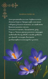 Мавка. Щоденник. Україночка. Image №5