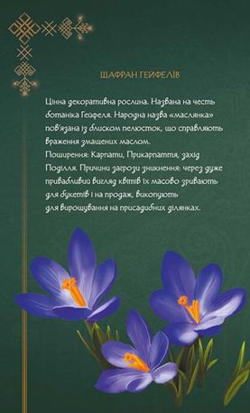 Мавка. Щоденник. Україночка — фото 8