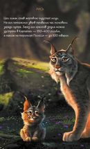 Мавка. Щоденник. Image №7