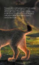 Мавка. Щоденник. Image №8