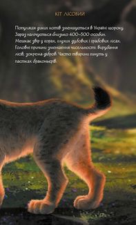 Мавка. Щоденник. Image №8