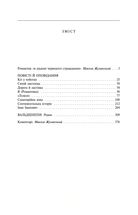 Санаторiйна зона. Зображення №4