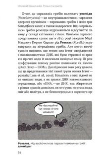 Планета грибів. Зображення №6