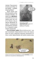 Планета грибів. Зображення №7