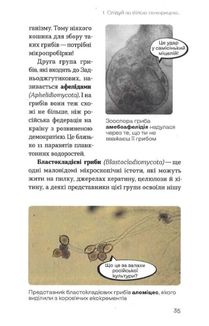 Планета грибів. Зображення №7