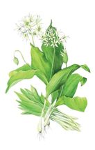 Весна. Image №2