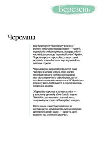 Весна. Image №3