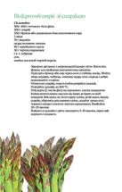 Весна. Image №4