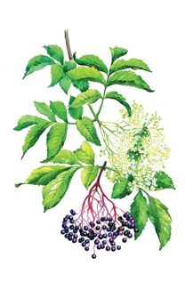 Весна. Image №6