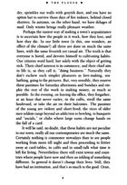 The plague. Image №3